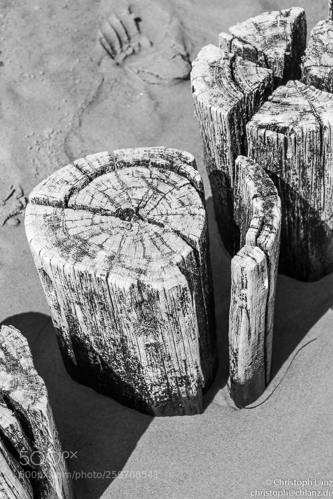 Nikon D7200 sample photo. Negative space photography