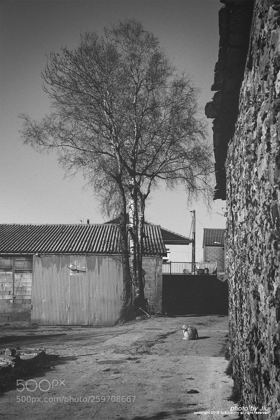 Canon EOS 6D sample photo. Ordinary afternoon. photography