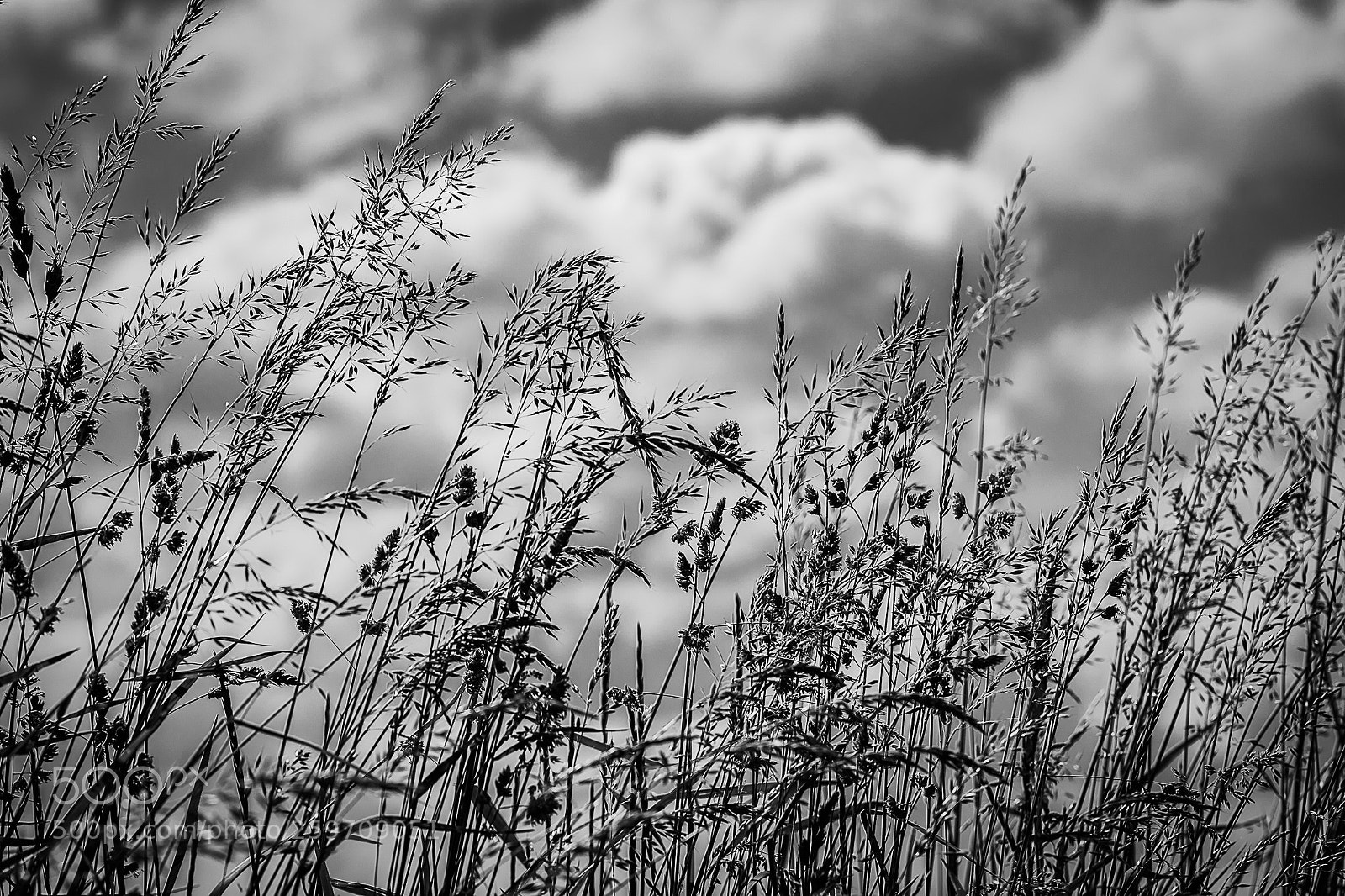Nikon D750 sample photo. Clouds photography