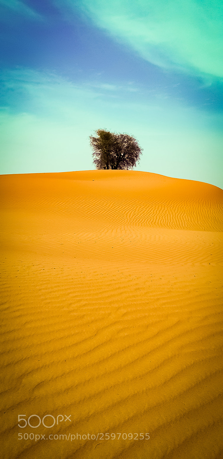Samsung Galaxy S8+ sample photo. Sahara photography