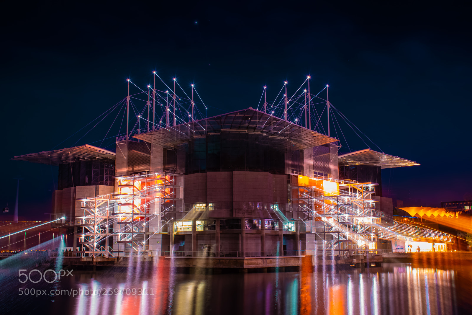 Nikon D5600 sample photo. Lisboa - oceanário photography
