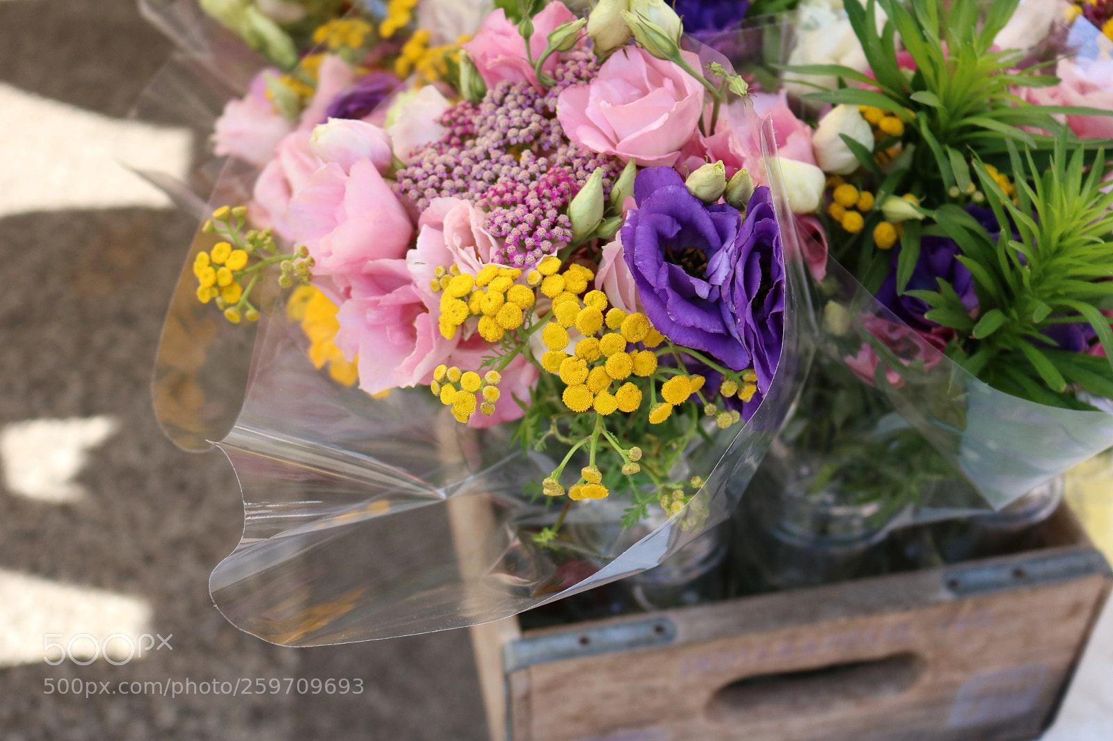 Canon EOS 750D (EOS Rebel T6i / EOS Kiss X8i) sample photo. Flowers at the farmers photography