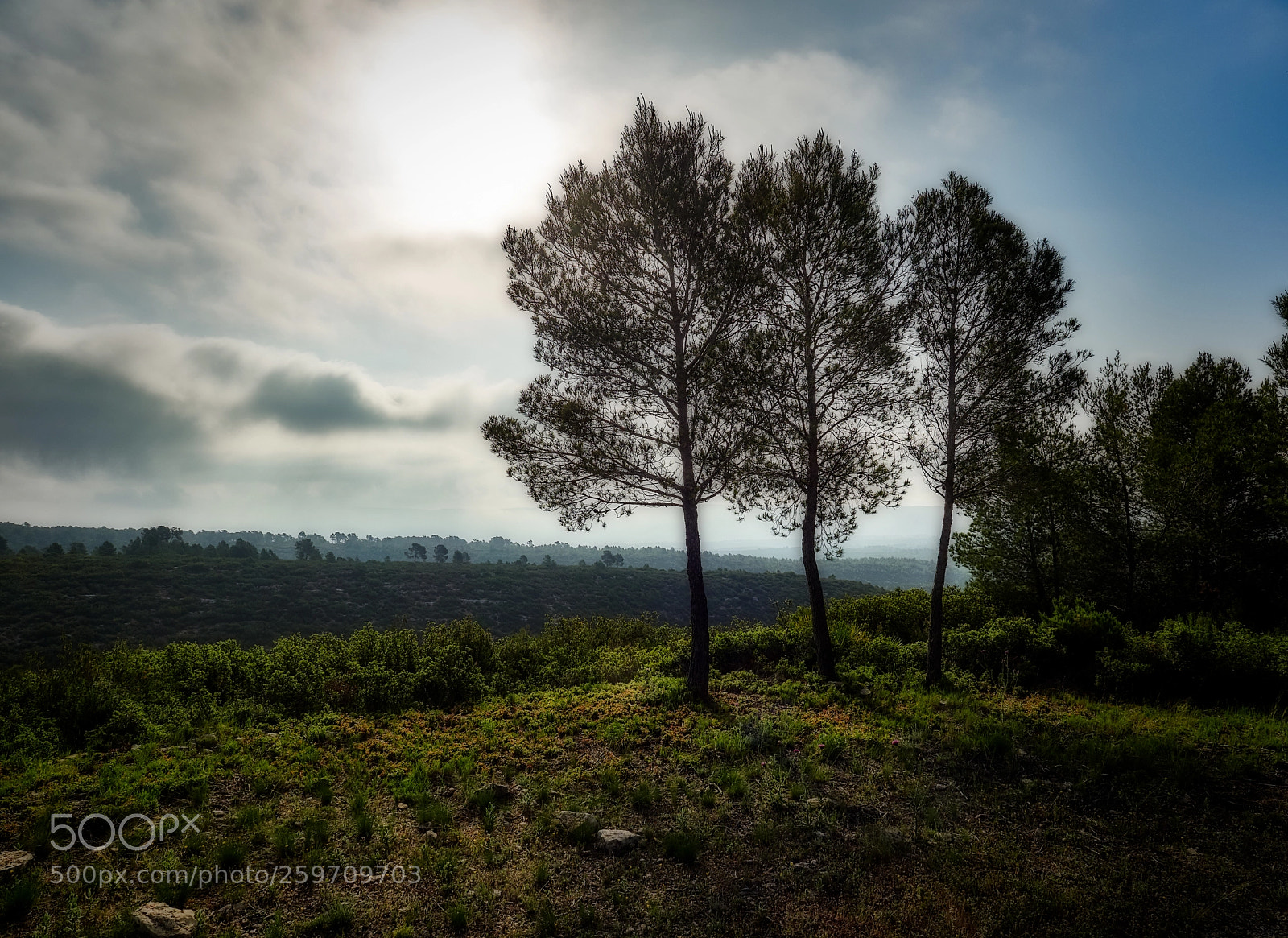 Olympus OM-D E-M1 Mark II sample photo. Sierra de enguera photography
