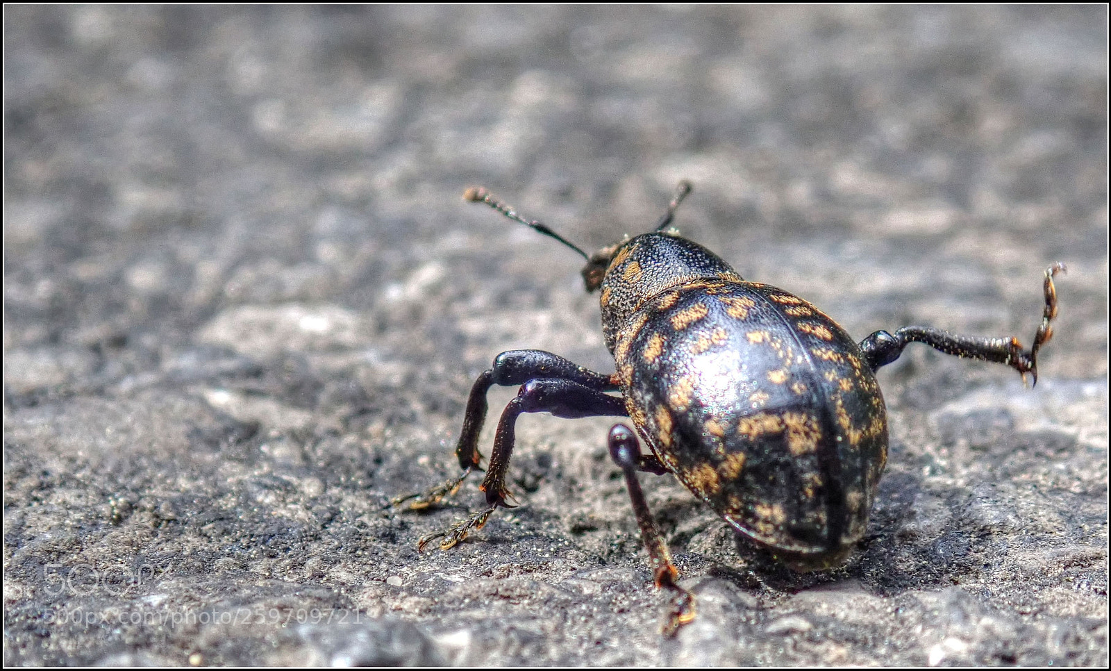 Olympus TG-5 sample photo. Hoch das bein photography