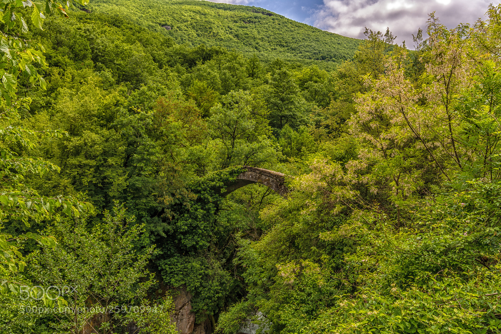 Nikon D7200 sample photo. Elen skok (deer leap) photography