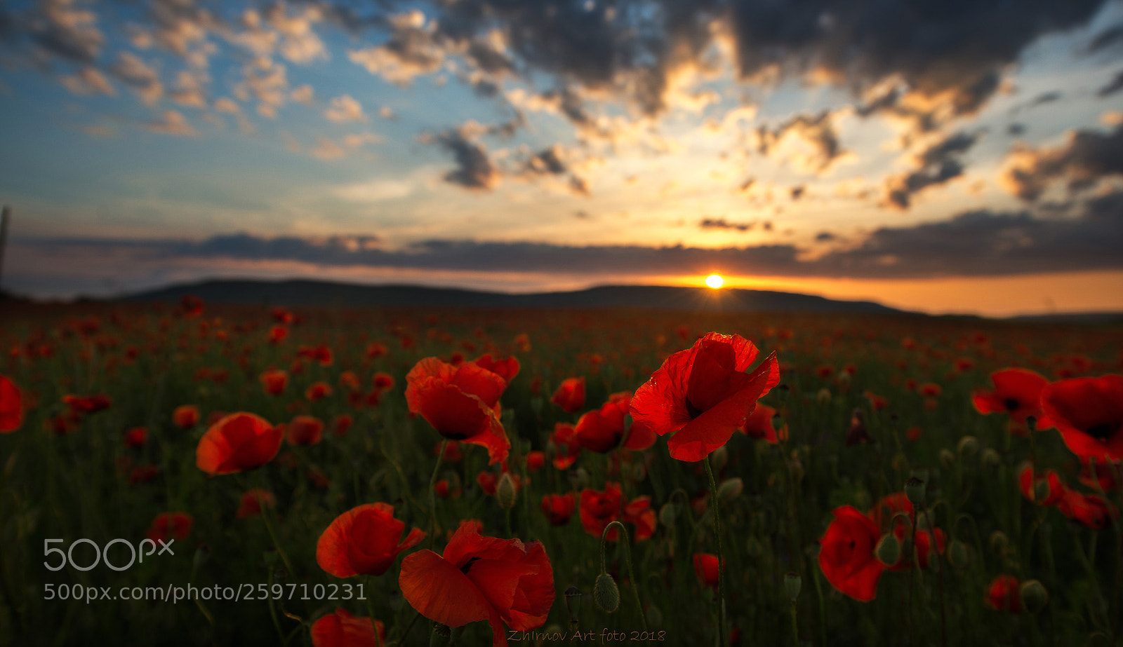 Nikon D800 sample photo. Русское поле photography