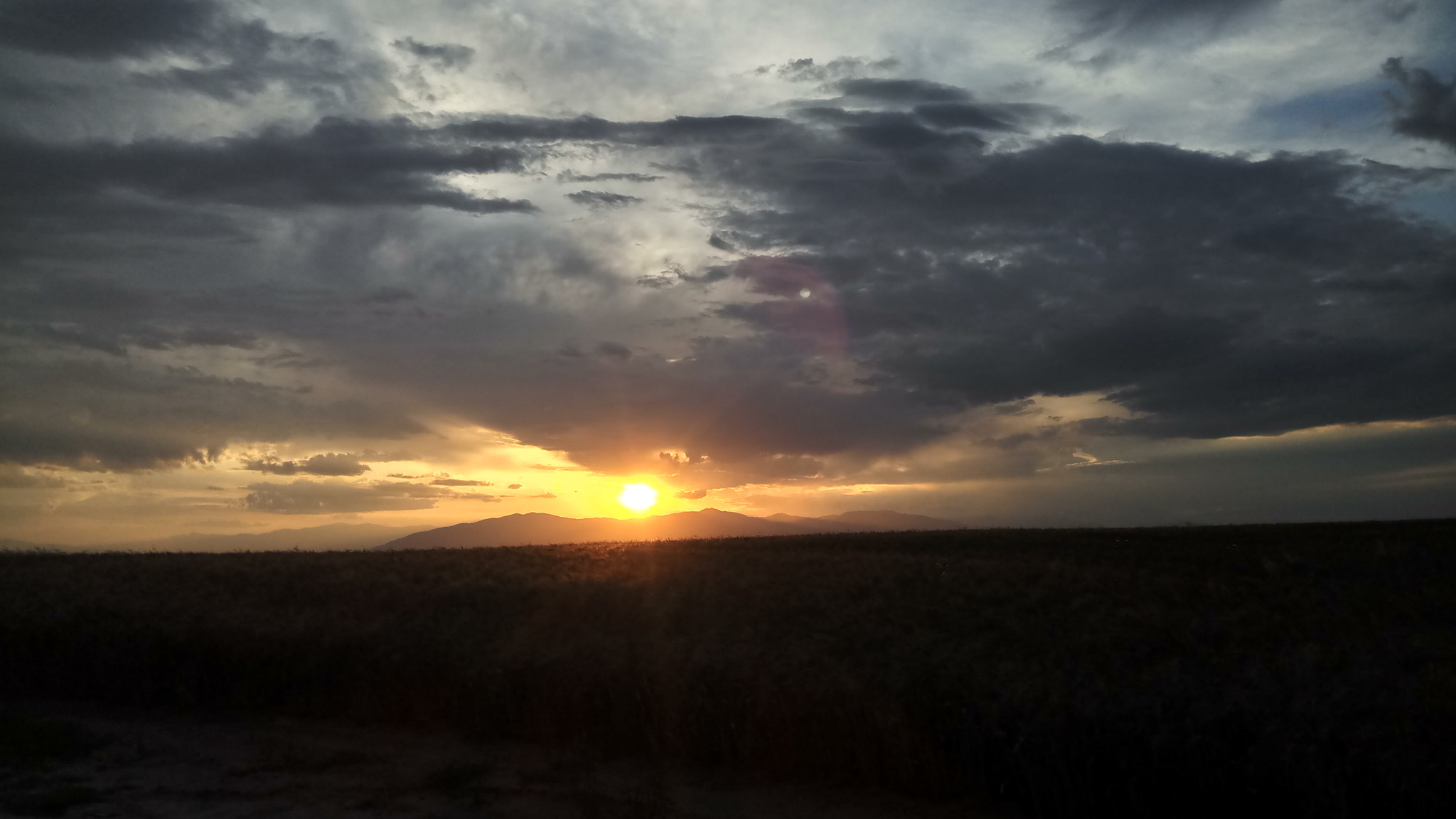 Xiaomi Redmi Pro sample photo. Between the storm photography