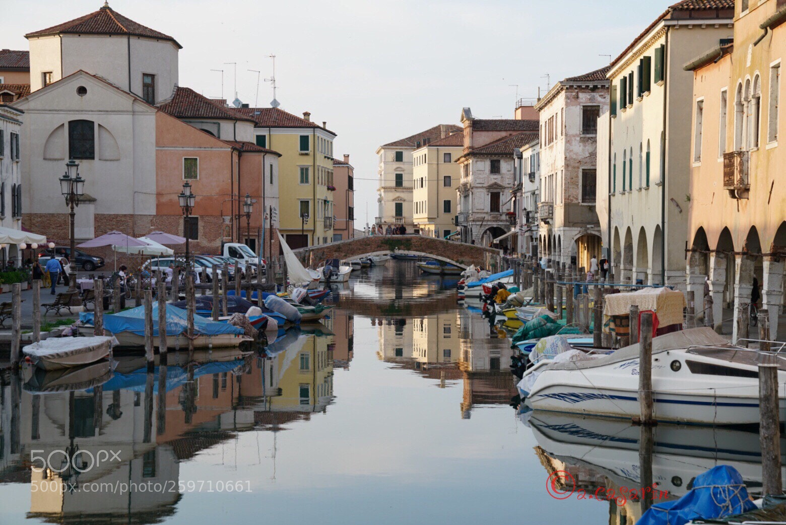 Sony a7R II sample photo. Reflexes photography