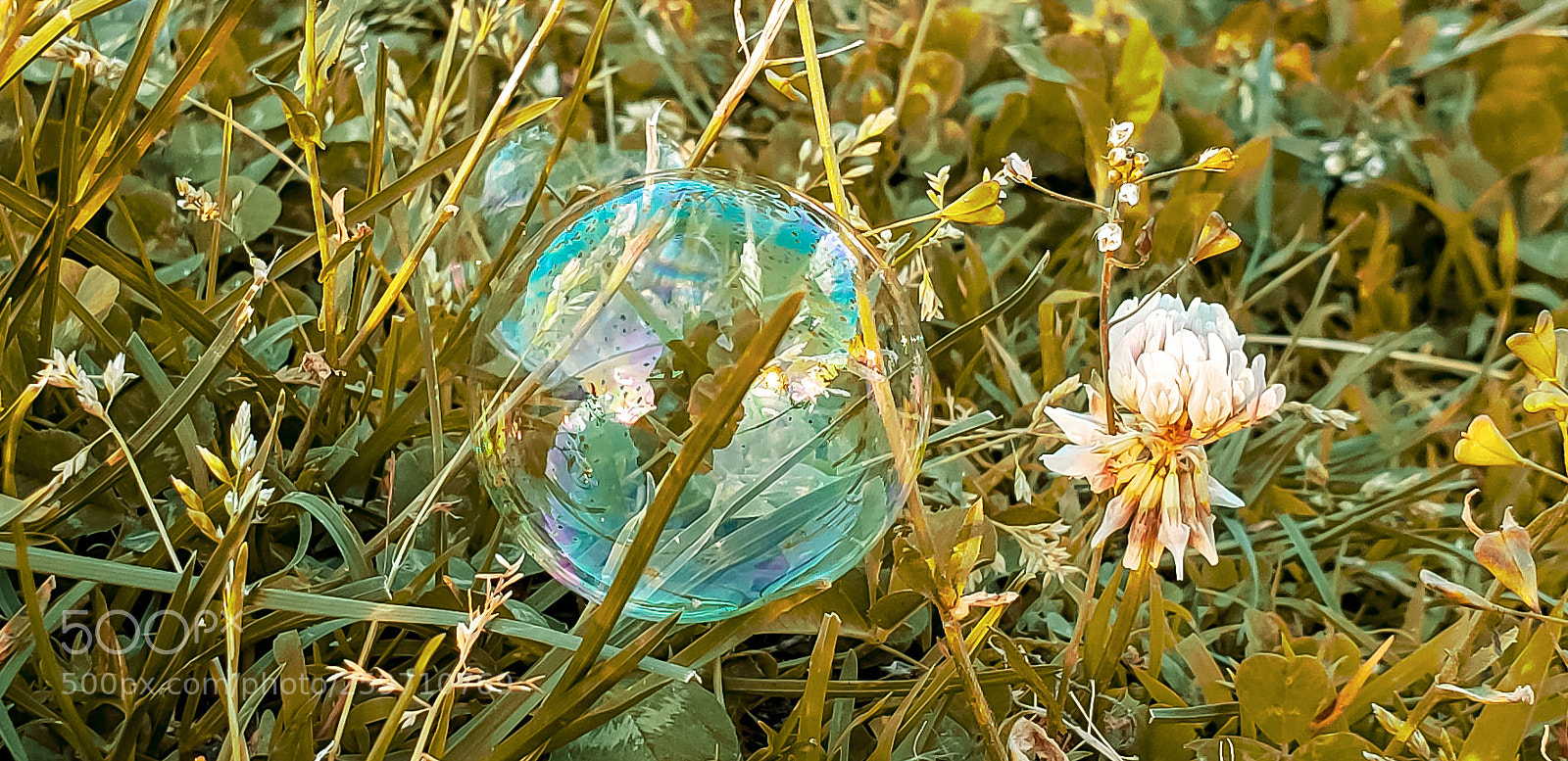 Samsung Galaxy S9+ sample photo. Stranded bubbles photography