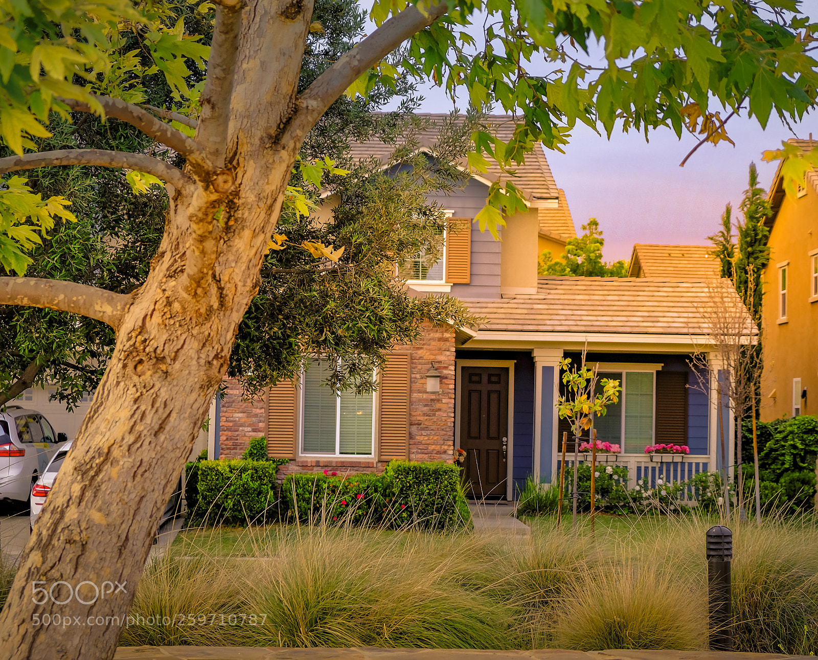 Fujifilm X-T10 sample photo. California living photography