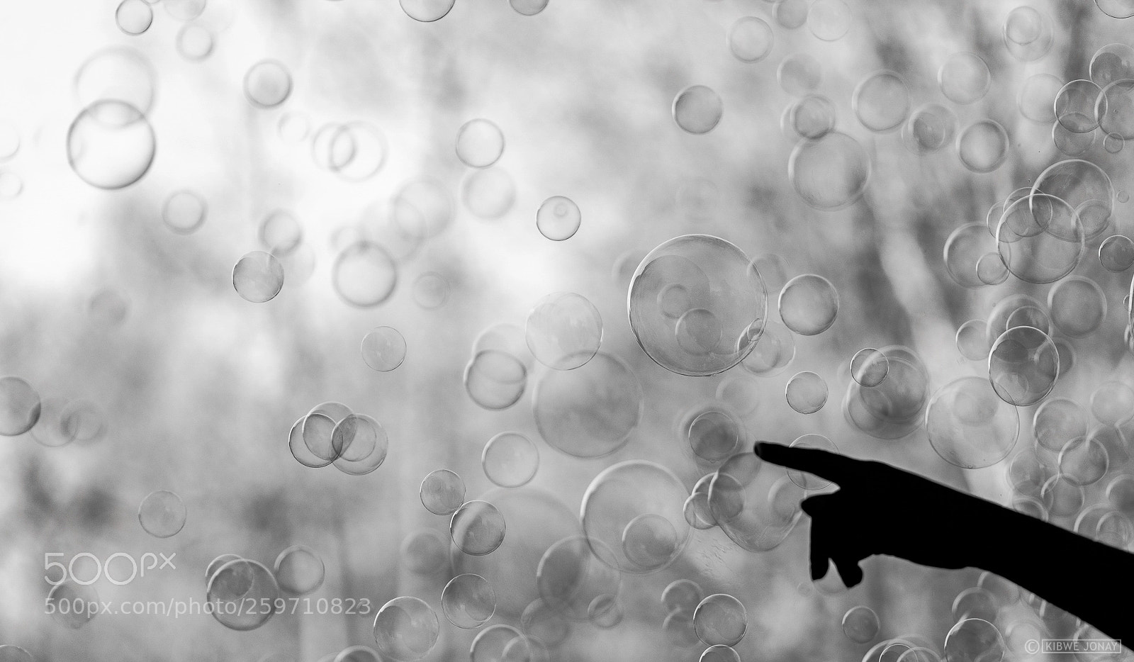 Nikon D850 sample photo. Choices photography