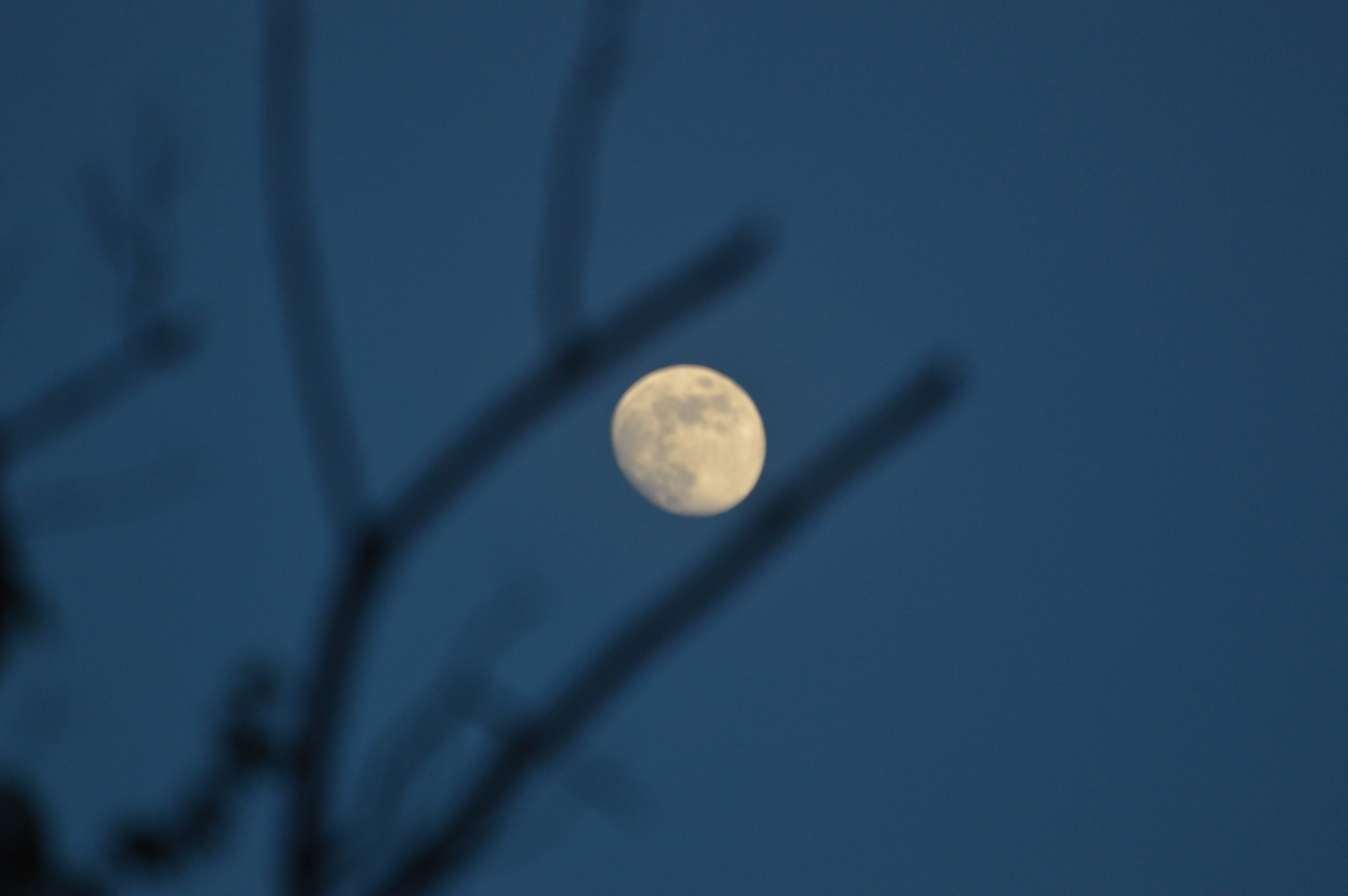 Nikon D3200 sample photo. Waxing gibbous photography