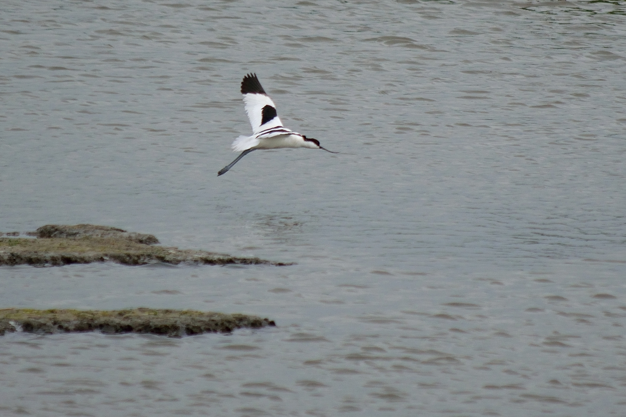 Nikon D5300 sample photo. Lift off photography
