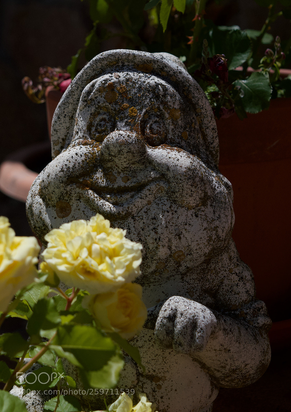 Nikon D3200 sample photo. Garden dwarf photography