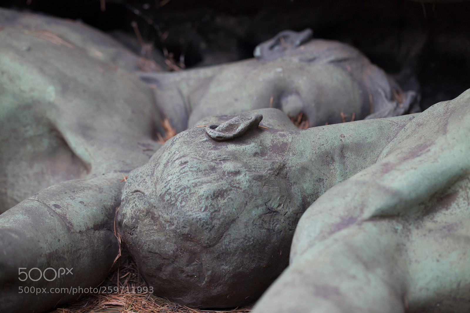 Canon EOS 5D Mark II sample photo. L'amore eterno photography