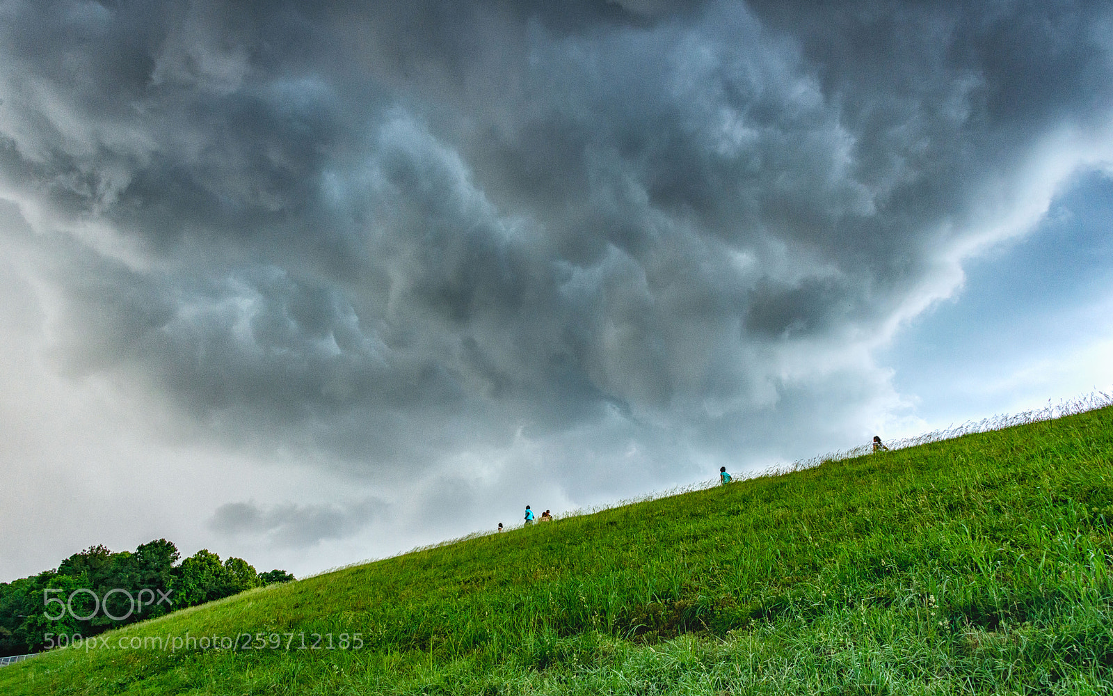 Nikon D800 sample photo. Run away! photography
