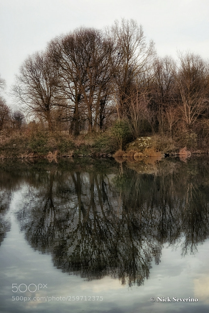 Sony a7R sample photo. Reflections in the water photography