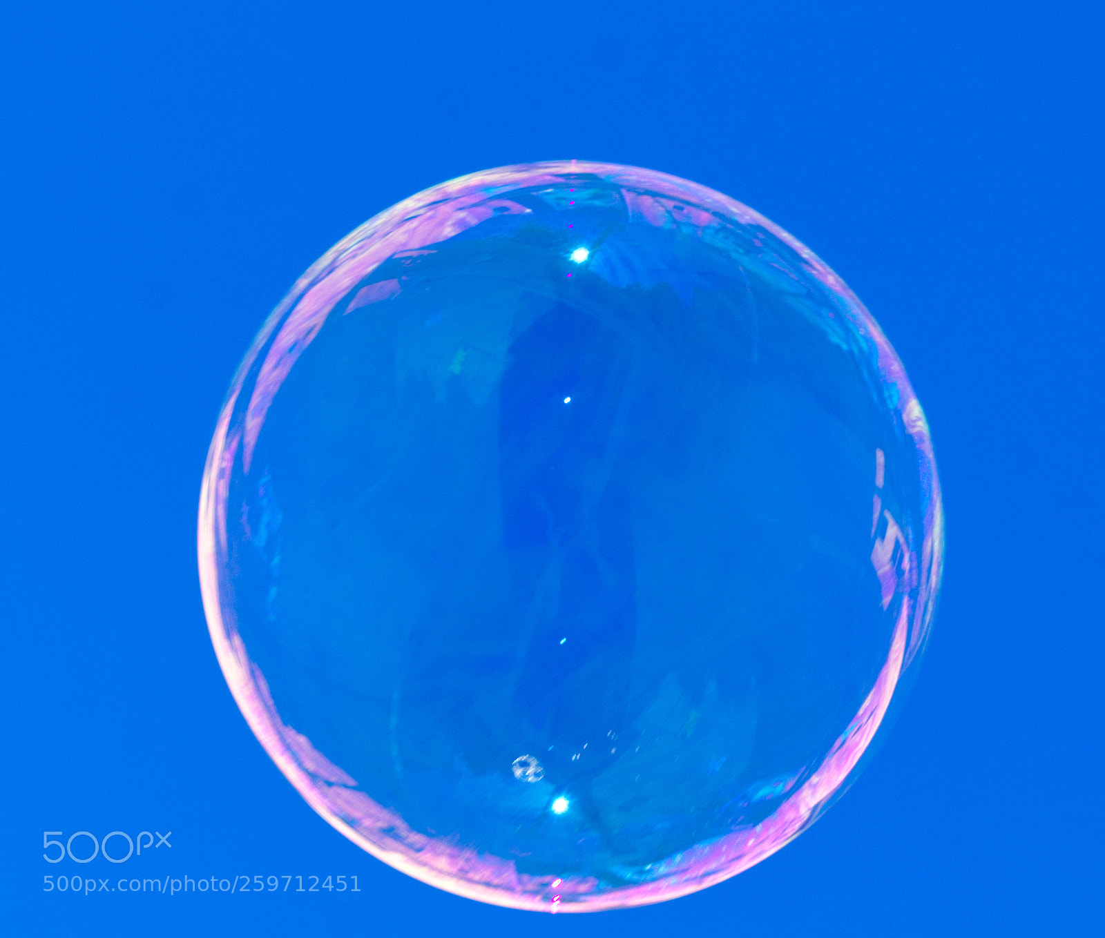 Nikon D3400 sample photo. Just the bubble photography