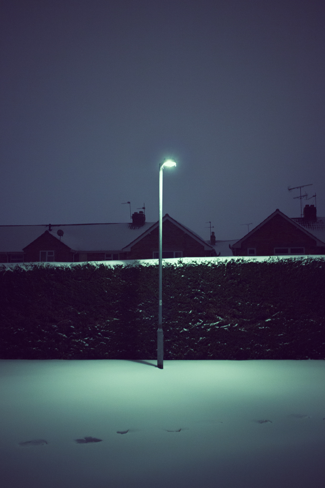 Canon EOS 600D (Rebel EOS T3i / EOS Kiss X5) sample photo. Snow day, taunton photography