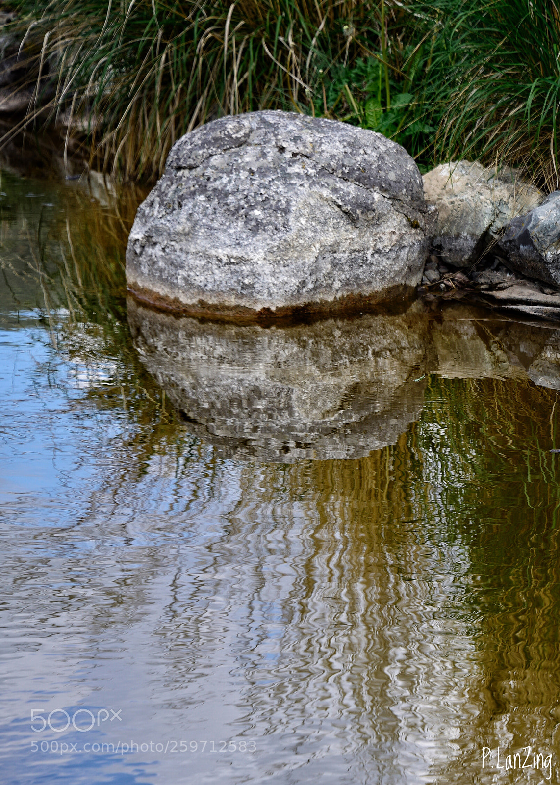 Nikon D810 sample photo. Acceptance is peace photography