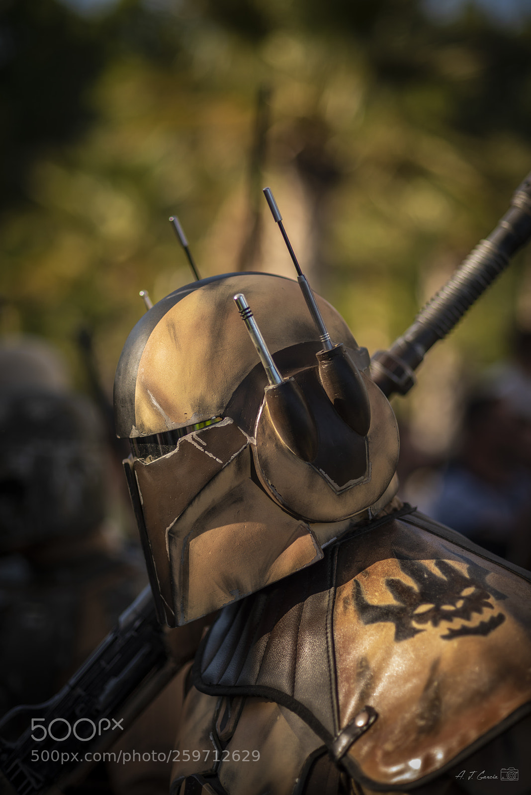 Nikon D810 sample photo. Legión 501 ii photography