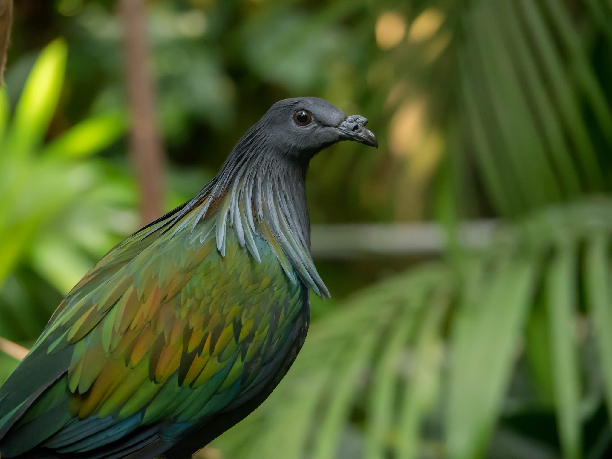 Panasonic Lumix DMC-G85 (Lumix DMC-G80) sample photo. What a bird photography