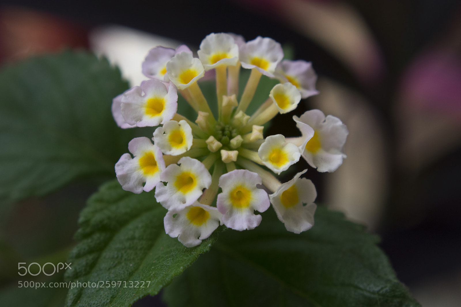 Nikon D3400 sample photo. Untitled photography