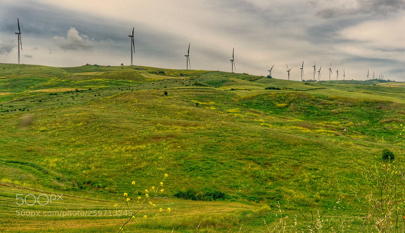 Sony a6000 sample photo. Wind farm photography