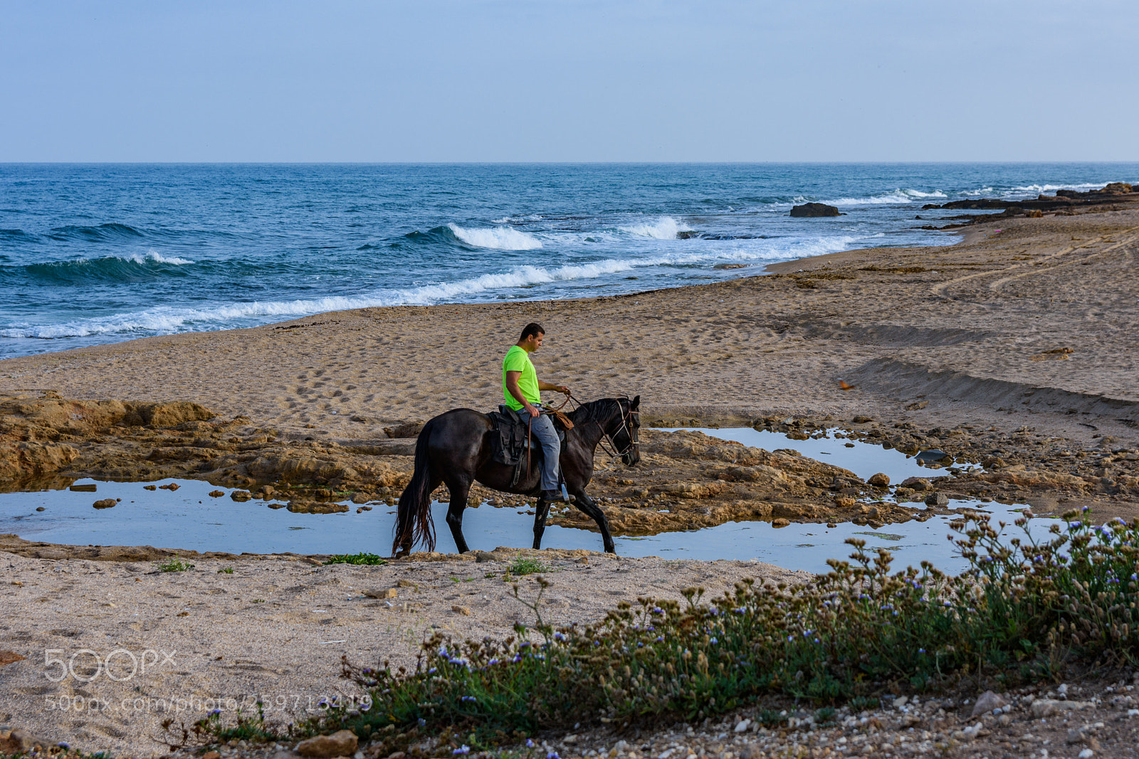 Nikon D7200 sample photo. Horse and sea photography