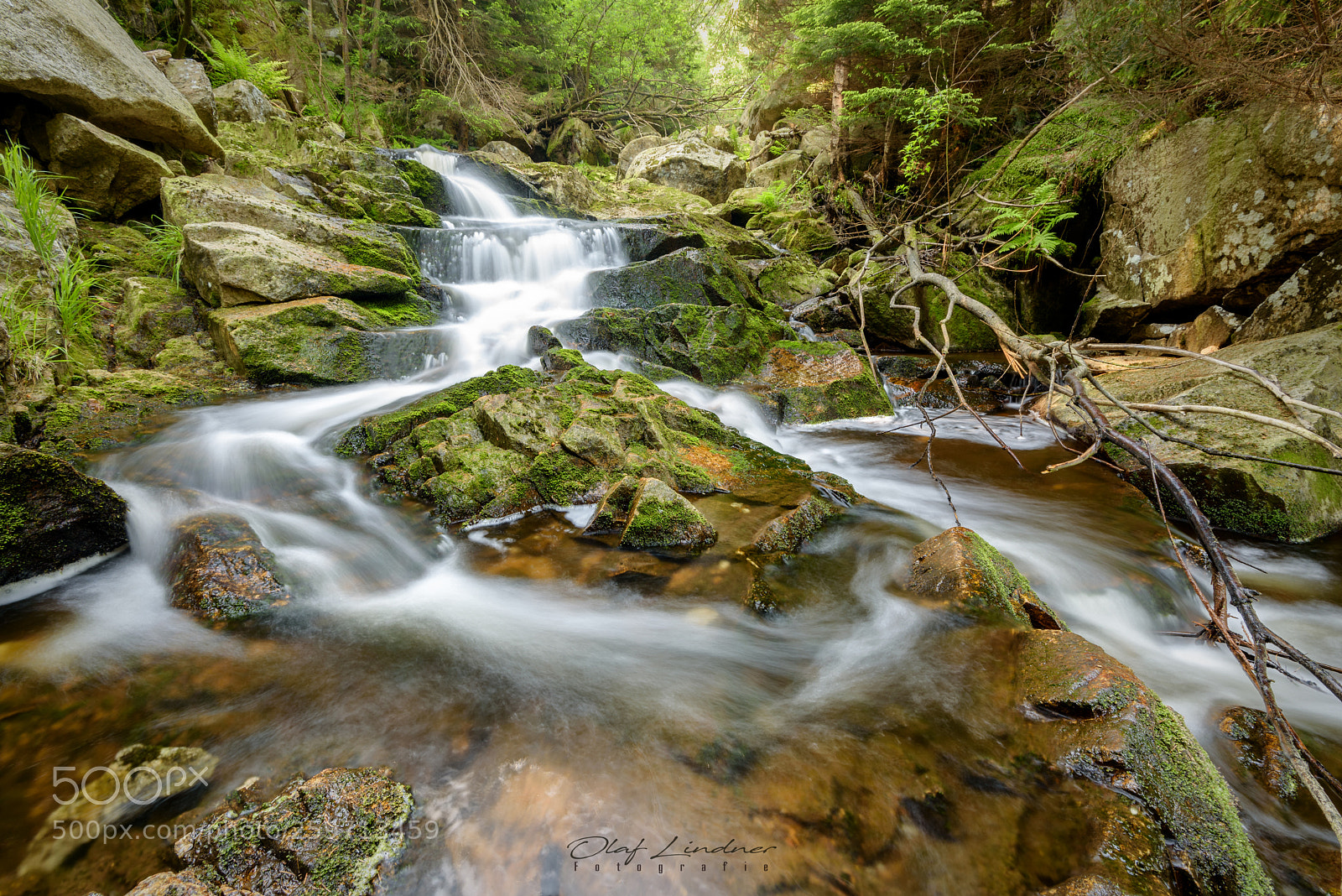 Nikon D750 sample photo. Little creek photography