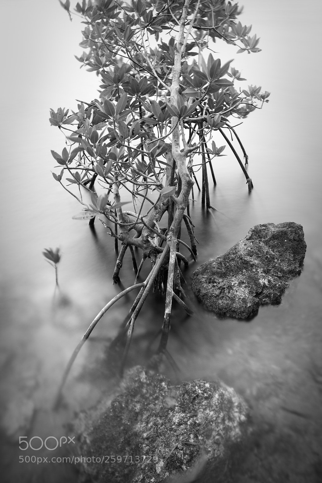 Canon EOS 5D sample photo. Stillness photography