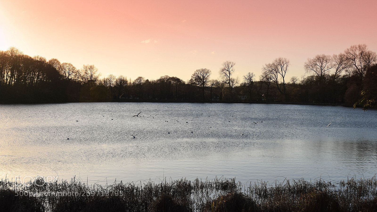 Nikon D5300 sample photo. Sunset photography