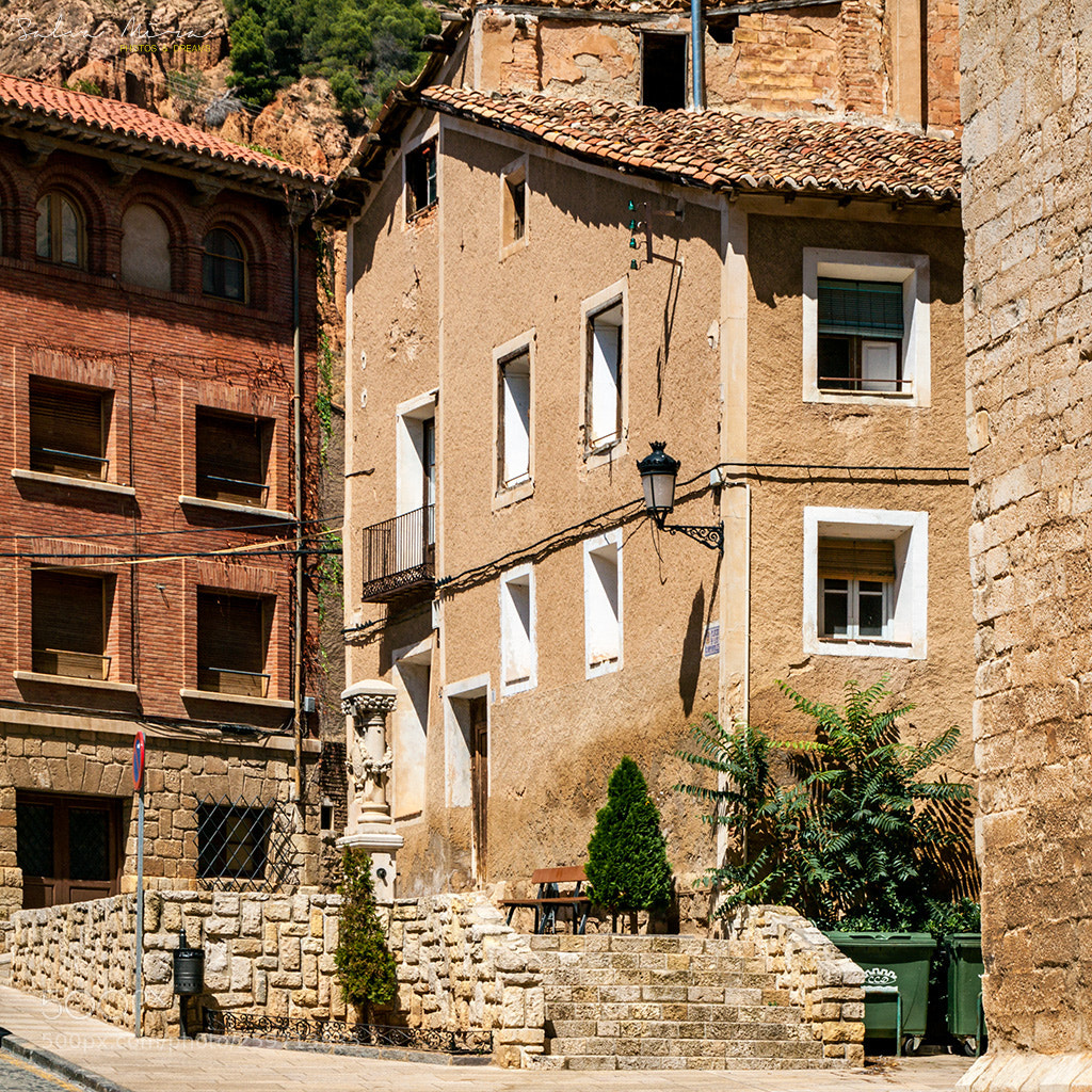 Canon EOS 50D sample photo. Daroca photography