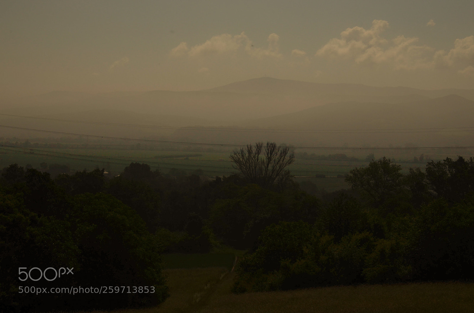 Nikon D5100 sample photo. Silence peace and nature. photography