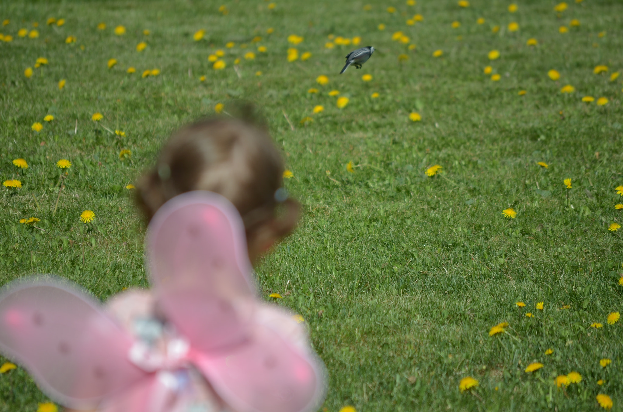 Nikon D5100 sample photo. Dreams of flight photography