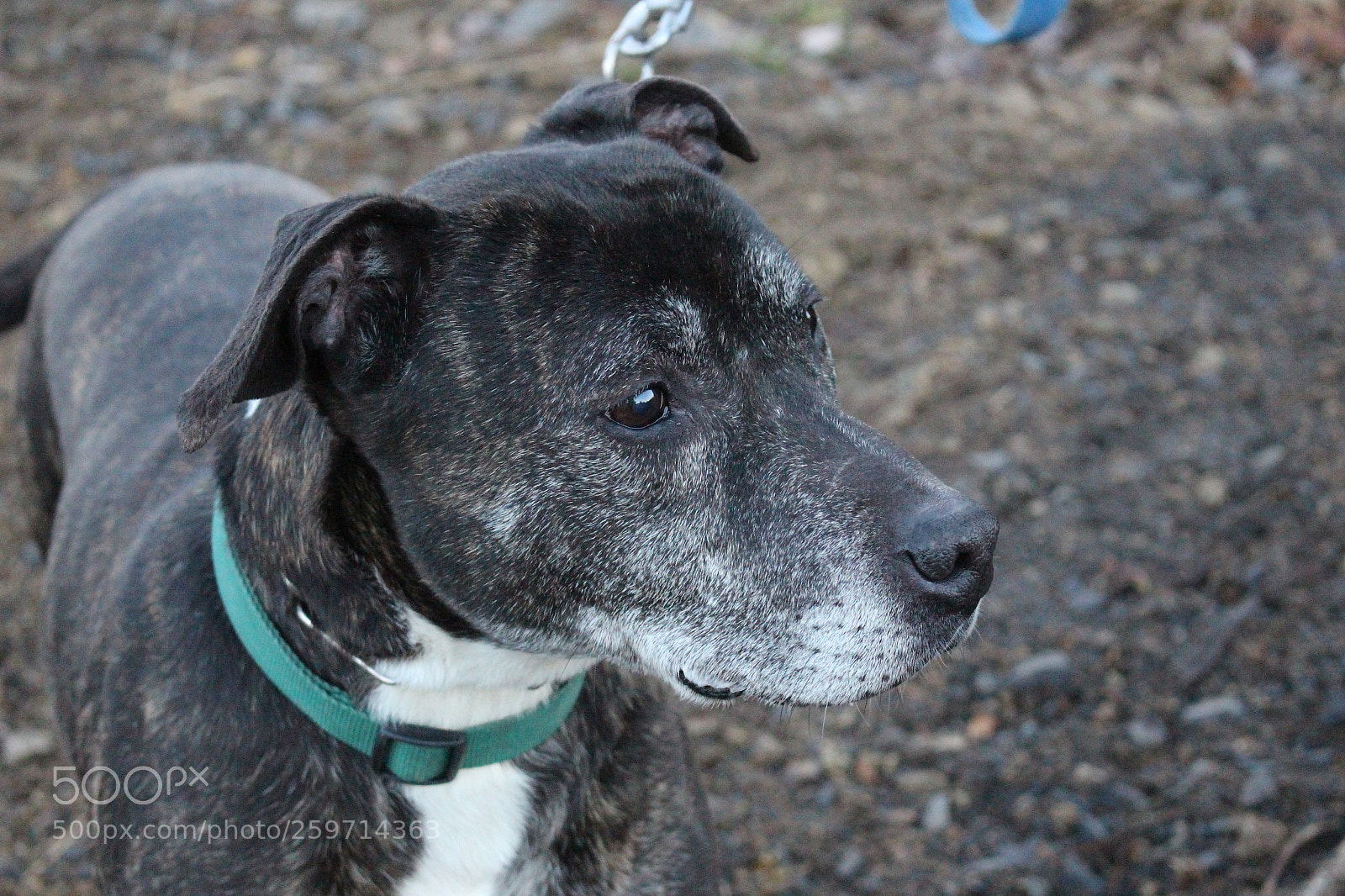 Canon EOS 700D (EOS Rebel T5i / EOS Kiss X7i) sample photo. Spa - pawrun tournage photography