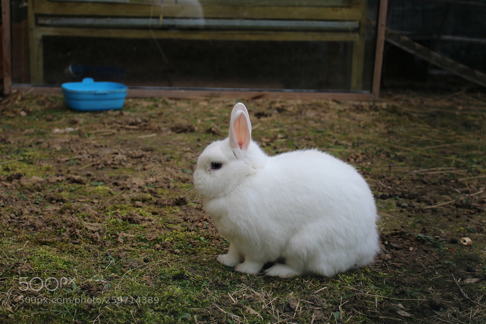 Canon EOS 700D (EOS Rebel T5i / EOS Kiss X7i) sample photo. Un doux nuage photography