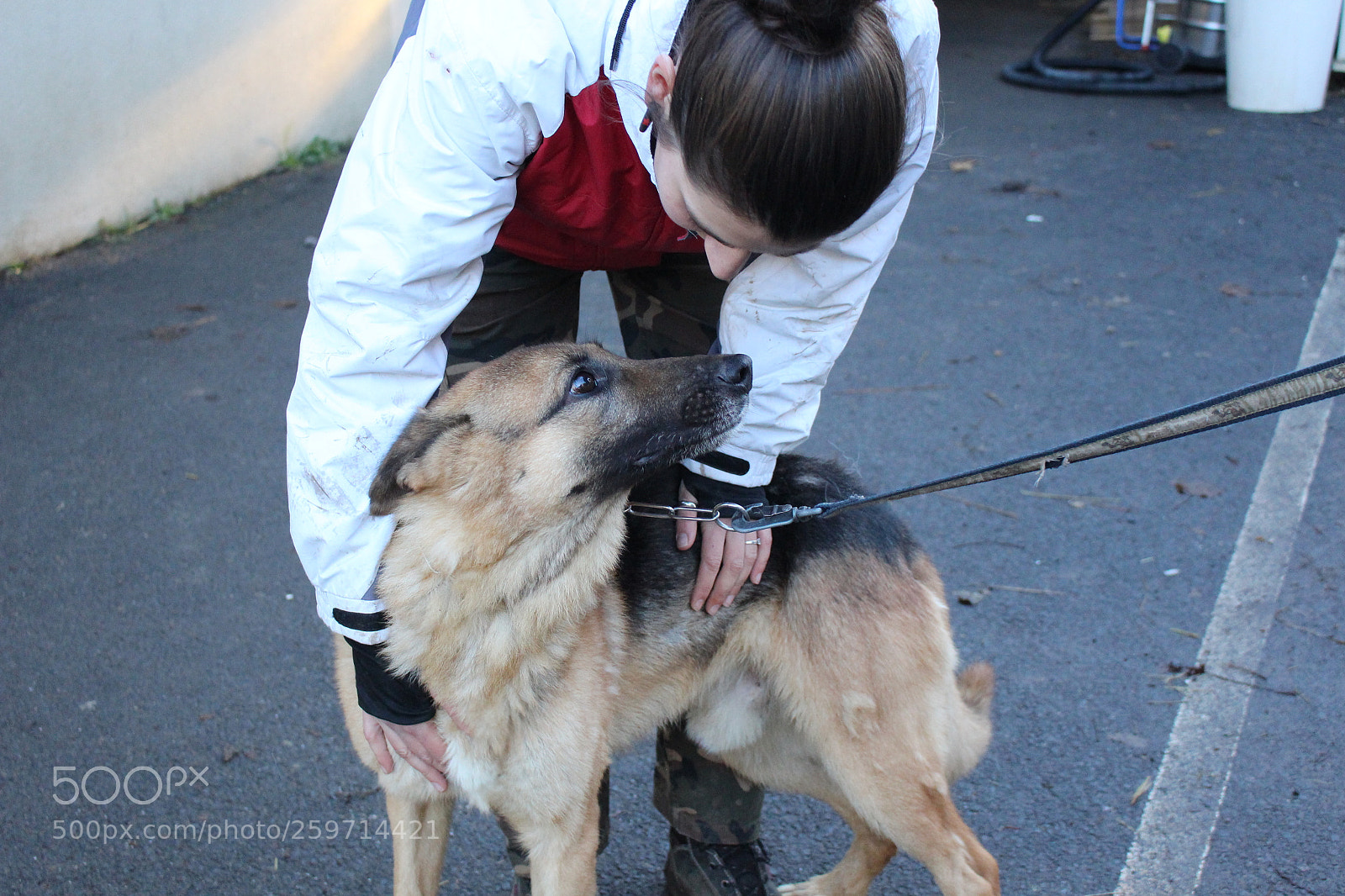 Canon EOS 700D (EOS Rebel T5i / EOS Kiss X7i) sample photo. Spa - pawrun tournage photography