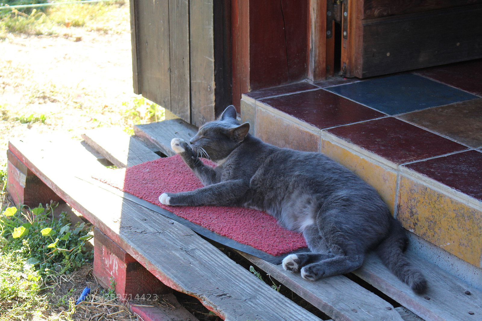 Canon EOS 700D (EOS Rebel T5i / EOS Kiss X7i) sample photo. Tom patate tournage photography
