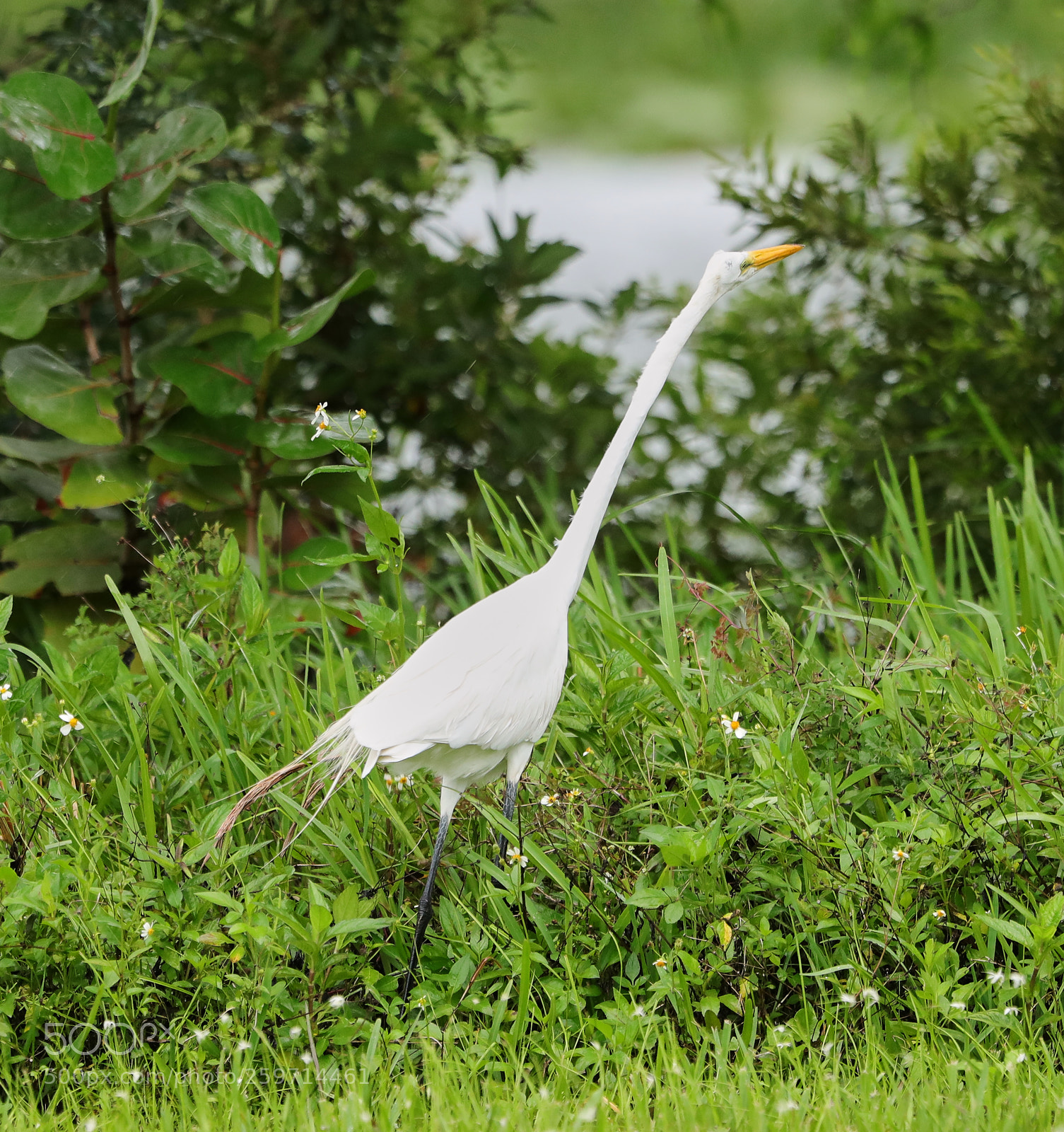 Canon EOS-1D X Mark II sample photo. 05-27-18-0020018.jpg photography