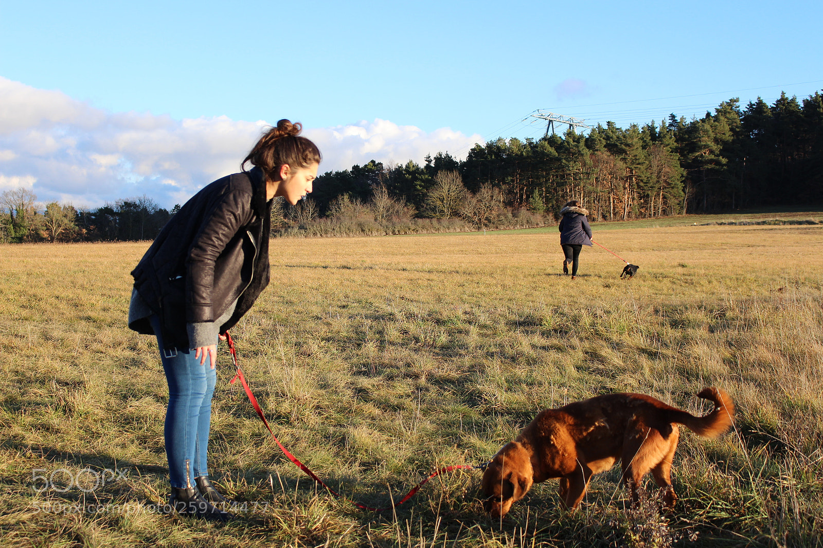Canon EOS 700D (EOS Rebel T5i / EOS Kiss X7i) sample photo. Spa - pawrun tournage photography