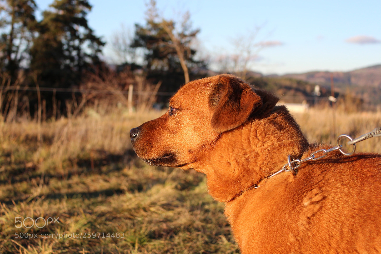 Canon EOS 700D (EOS Rebel T5i / EOS Kiss X7i) sample photo. Spa - pawrun tournage photography