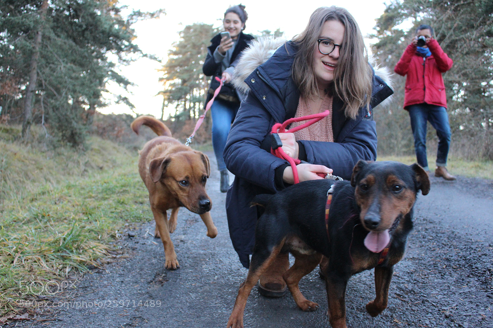 Canon EOS 700D (EOS Rebel T5i / EOS Kiss X7i) sample photo. Spa - pawrun tournage photography