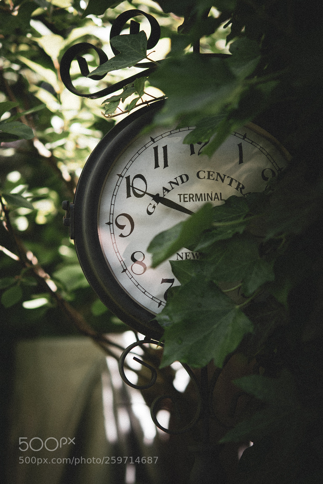 Nikon D500 sample photo. Clockwise photography