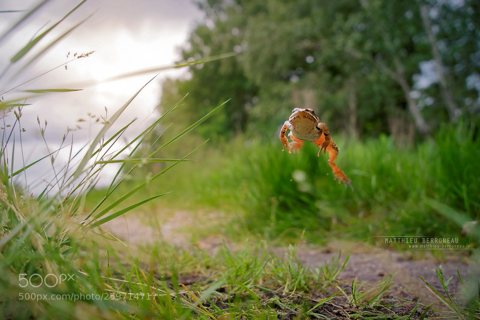 Sony a7 II sample photo. Jump photography