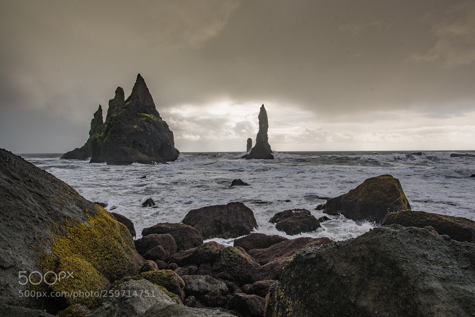Nikon D750 sample photo. Reynisfjara beach / iceland photography