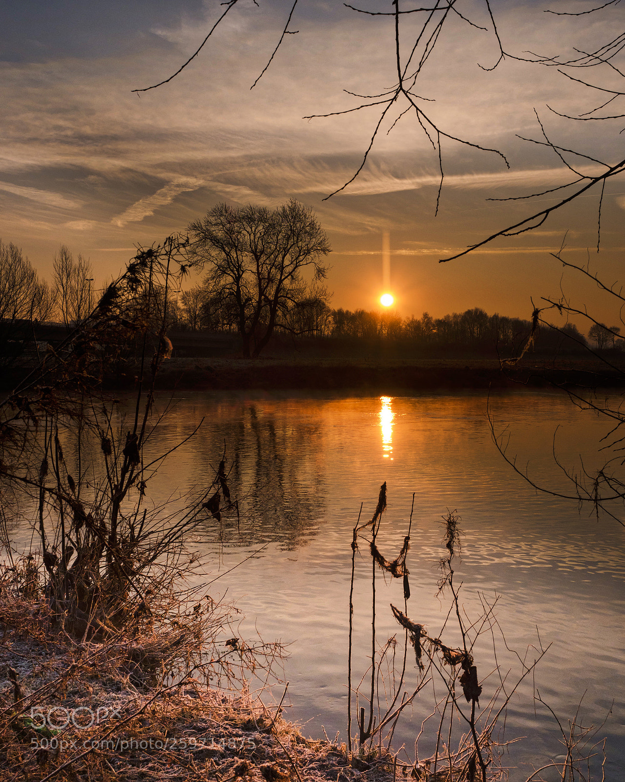 Olympus OM-D E-M1 Mark II sample photo. On the riverbank photography
