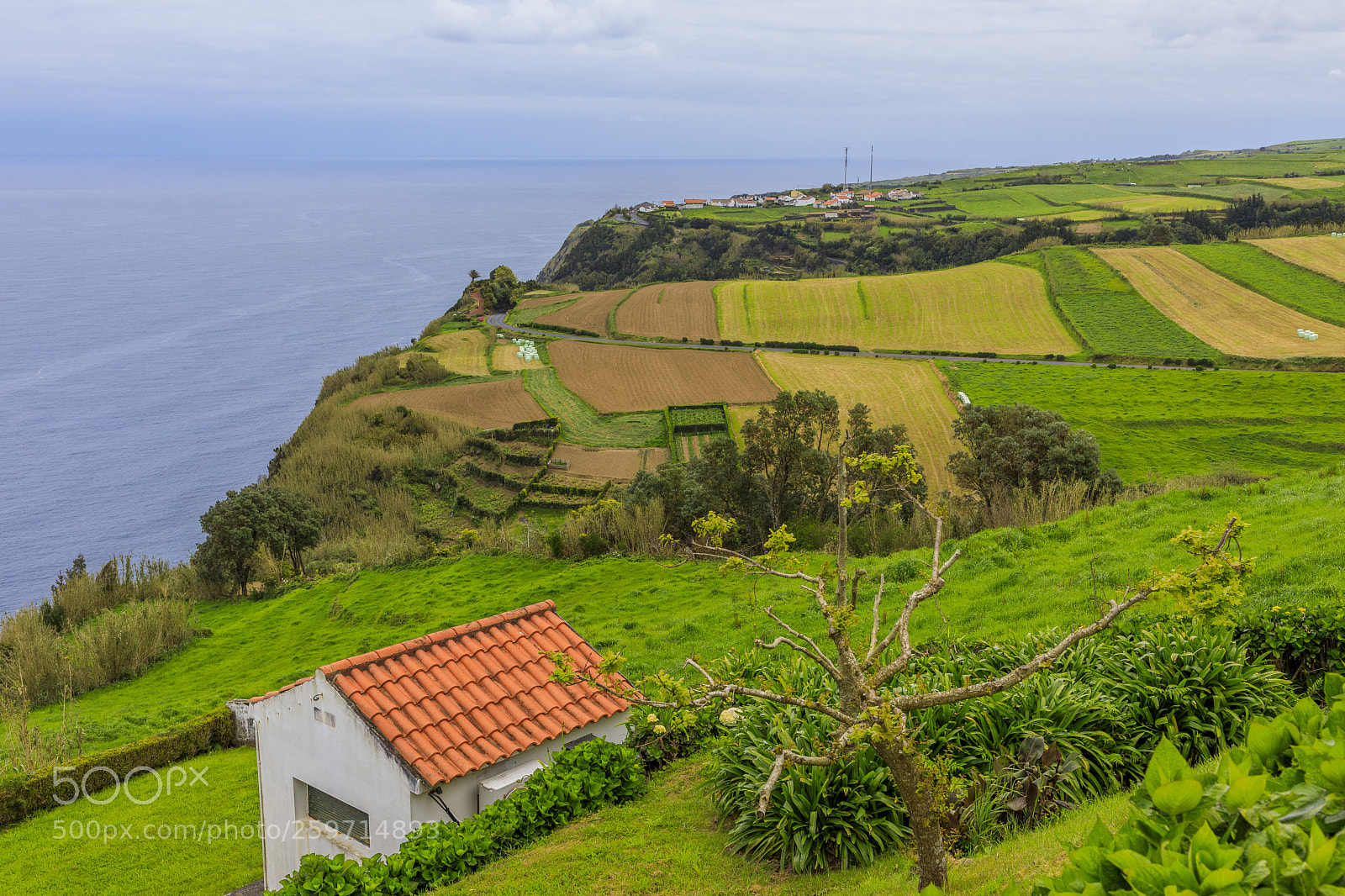 Canon EOS 5D Mark IV sample photo. A ores-s o miguel-algarvia-miradouro photography
