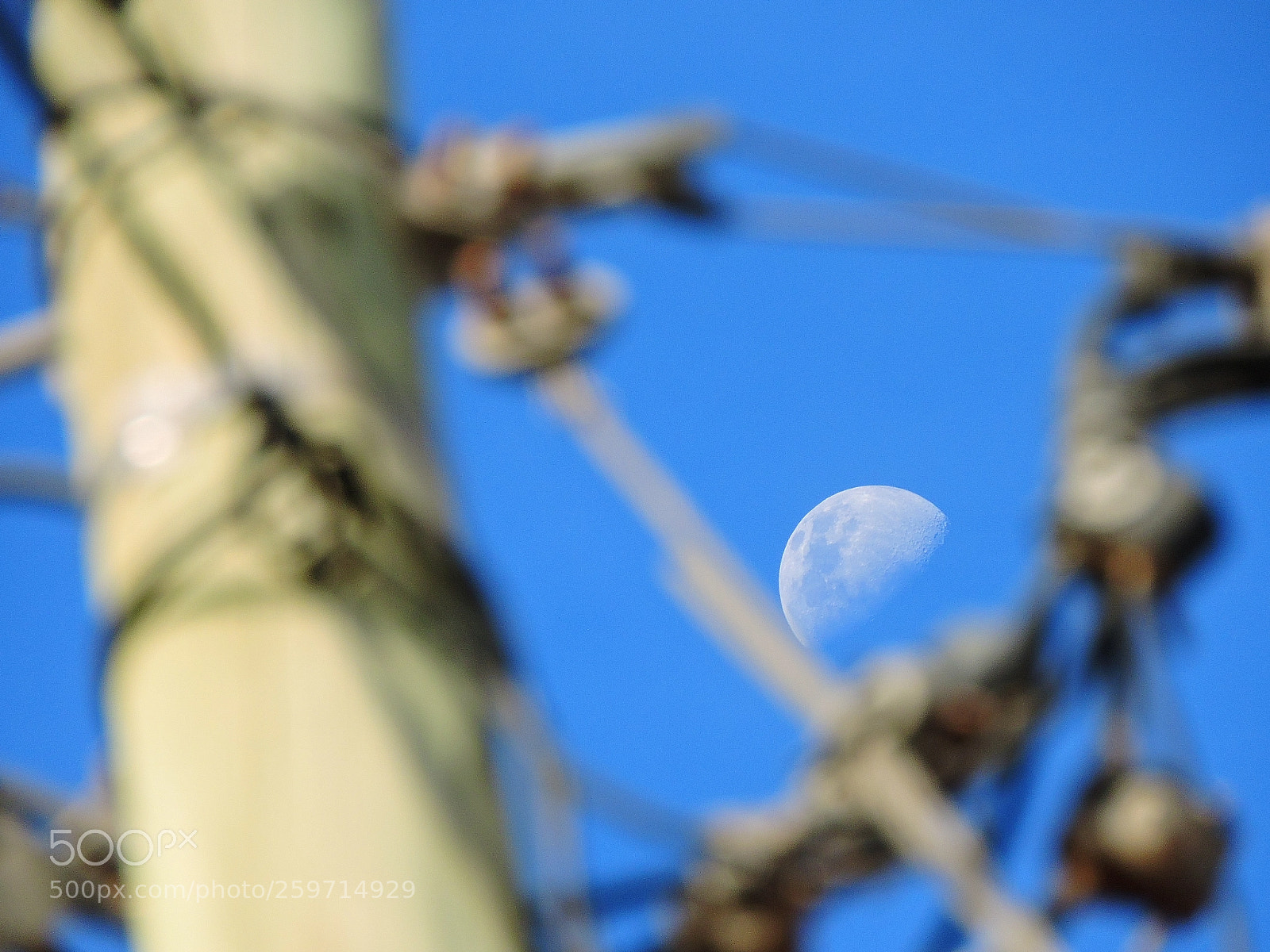 Nikon Coolpix P600 sample photo. Cable moon photography