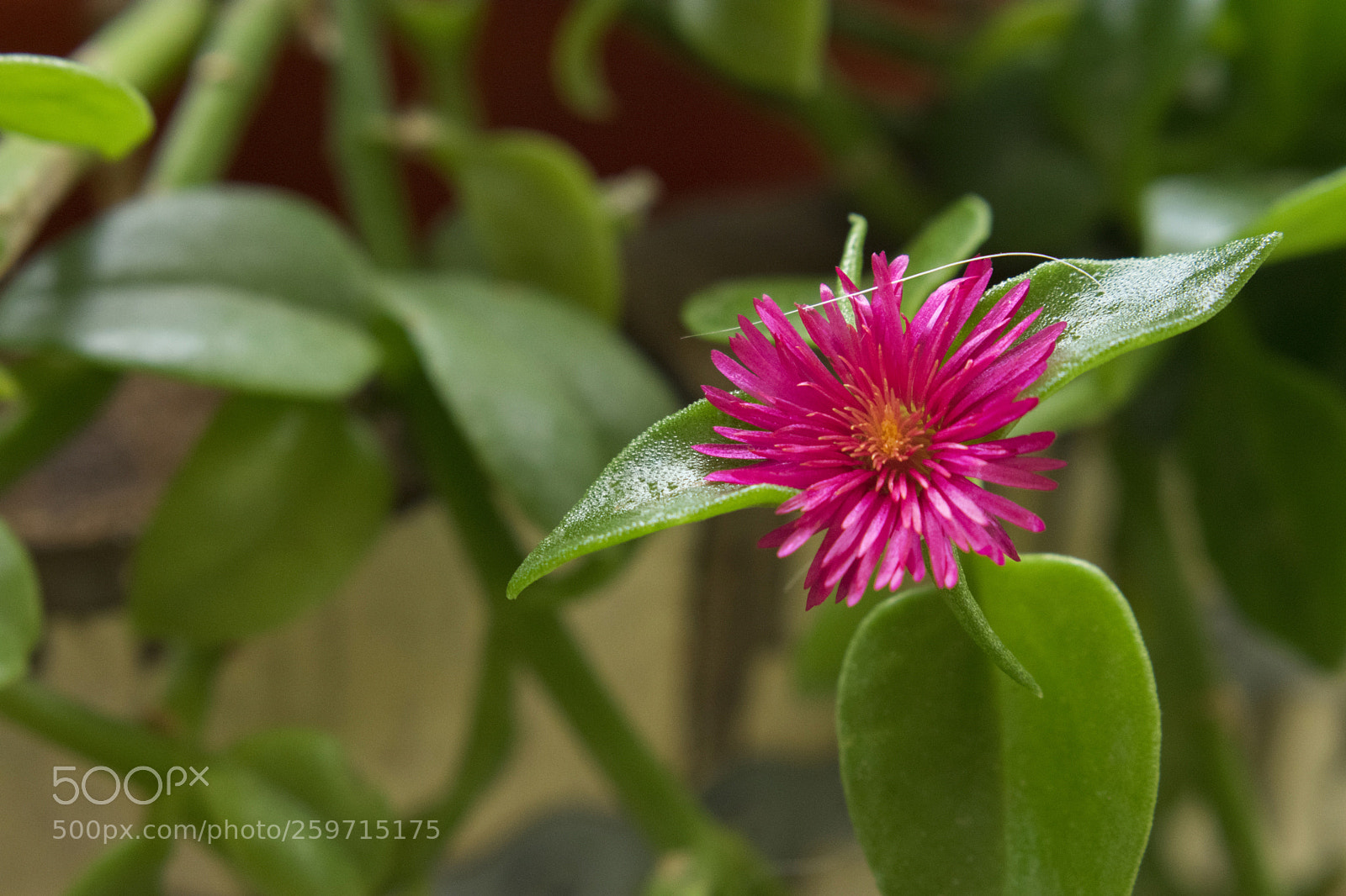 Nikon D3400 sample photo. Untitled photography